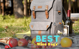 Best Wine Bags In 2021: Reviews & Buying Guide