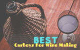Best Carboys For Wine Making In 2021