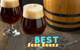 28 Best Sour Beers For Your Next Beer Tasting