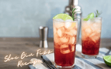 Sloe Gin Fizz Recipe