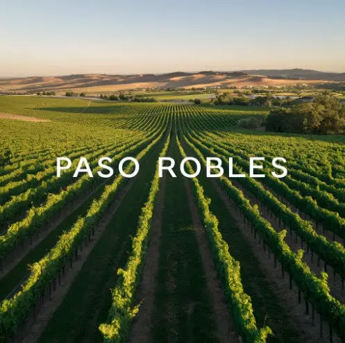 Discover the Rich Wines of Paso Robles