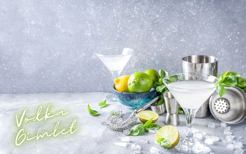 Vodka Gimlet Recipe