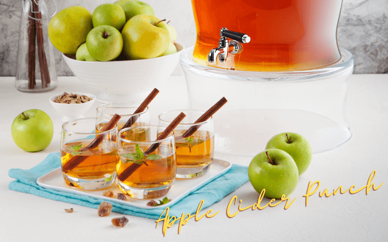 Apple Cider Punch Recipe