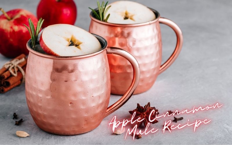 Apple Cinnamon Mule Recipe