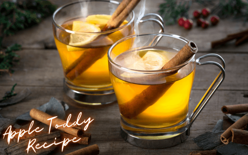 Apple Toddy Recipe
