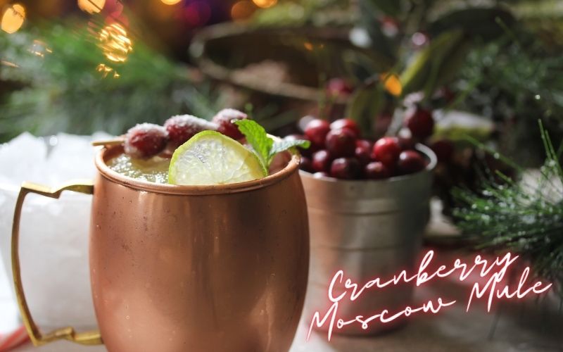 Cranberry Moscow Mule Recipe