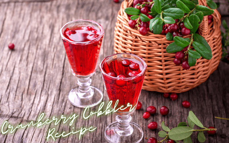 Cranberry Cobbler Recipe