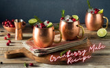 Cranberry Mule Recipe
