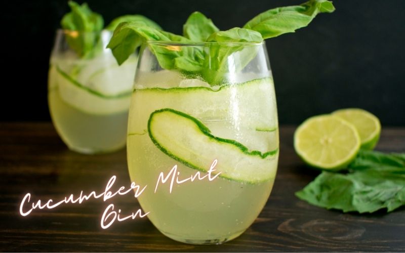 Cucumber Mint Gin Recipe