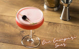 Gin Campari Sour Recipe