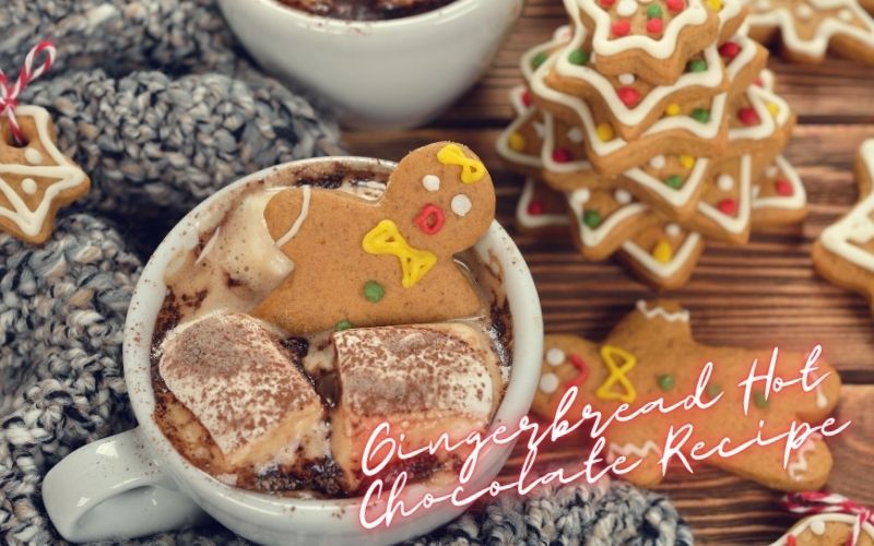Gingerbread Hot Chocolate Recipe