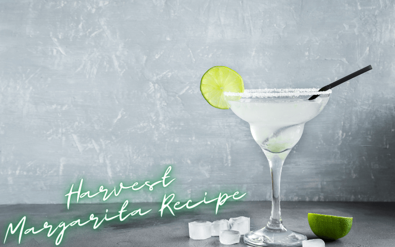 Harvest Margarita Recipe
