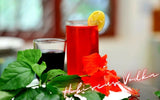 Hibiscus Vodka Recipe