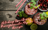 Holiday Cranberry Pomegranate Mojito Recipe