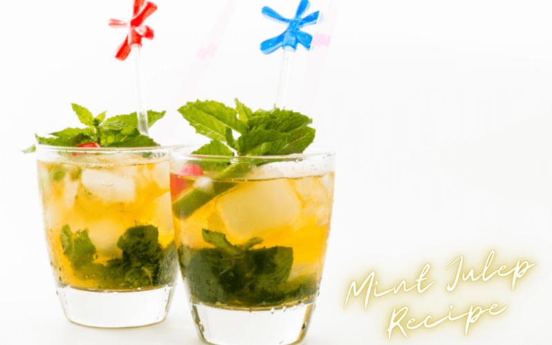 Mint Julep Recipe