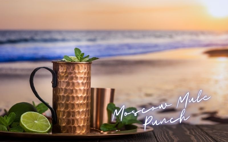 Moscow Mule Punch