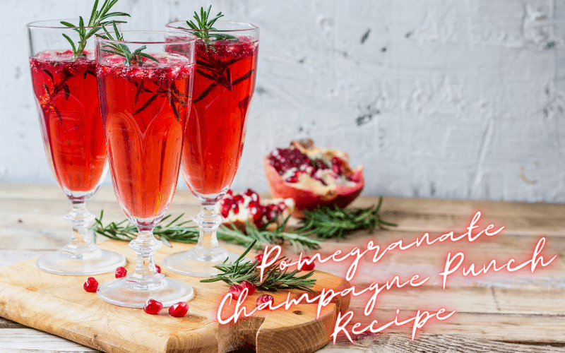 Pomegranate Champagne Punch Recipe