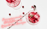 Pomegranate Elderflower Spritzer Recipe