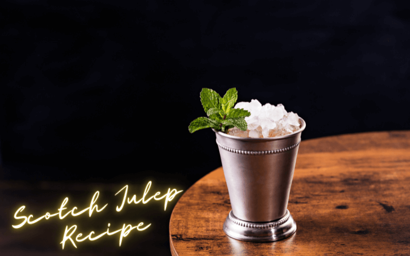 Scotch Julep Recipe