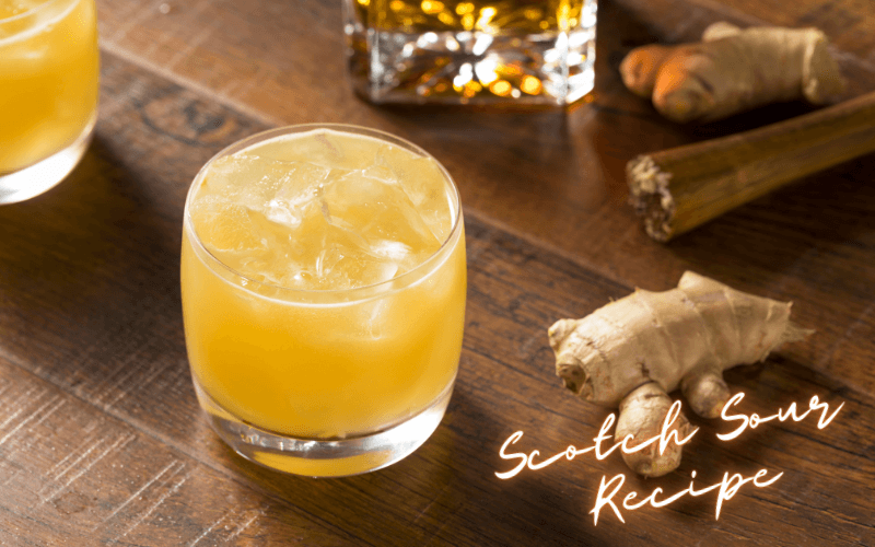 Scotch Sour Recipe