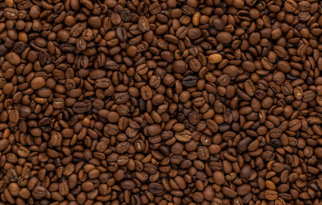 Mozart’s Coffee Roasters Vs. Houndstooth Coffee
