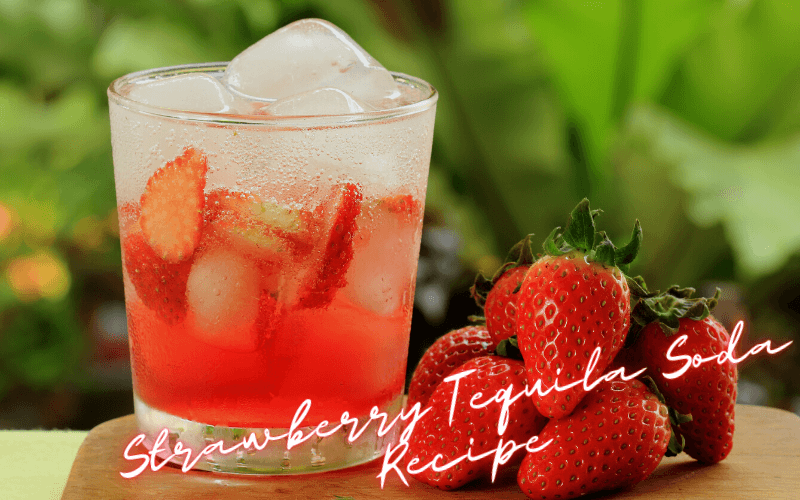 Strawberry Tequila Soda Recipe