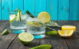 Two glasses of gin and tonic with limes, lemons, rosemary as garnish