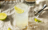 Vodka Lime Rickey Recipe