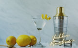 Vodka Martini Recipe
