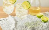 White Wine Spritzer Recipe