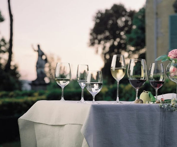 Can Wine Glasses Go In The Dishwasher? Dos & Don’ts Of Glassware Care