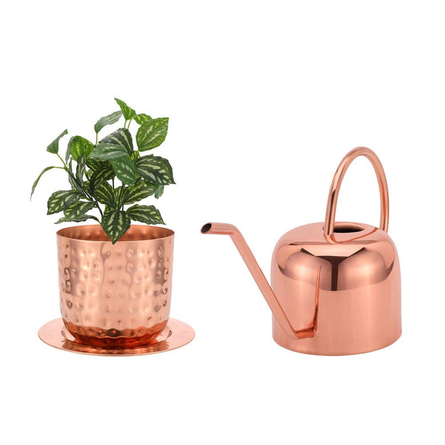 Glytterati - Decorative Watering Can and Planter with Plate