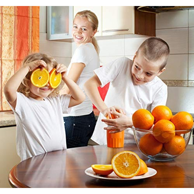 Hand Juicer Citrus Orange Squeezer Manual Lid Rotation Press Reamer for Lemon Lime Grapefruit with Strainer and Container, 2 Cups