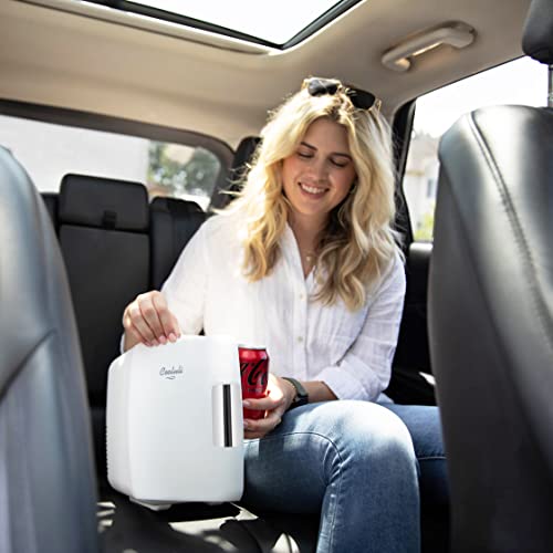 4L 12V Portable Mini Fridge Car Refrigerator Cooler Makeup Drinks Food 3  Color