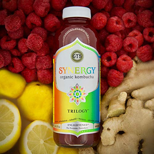 GT's Kombucha, Trilogy 16 Fl Oz