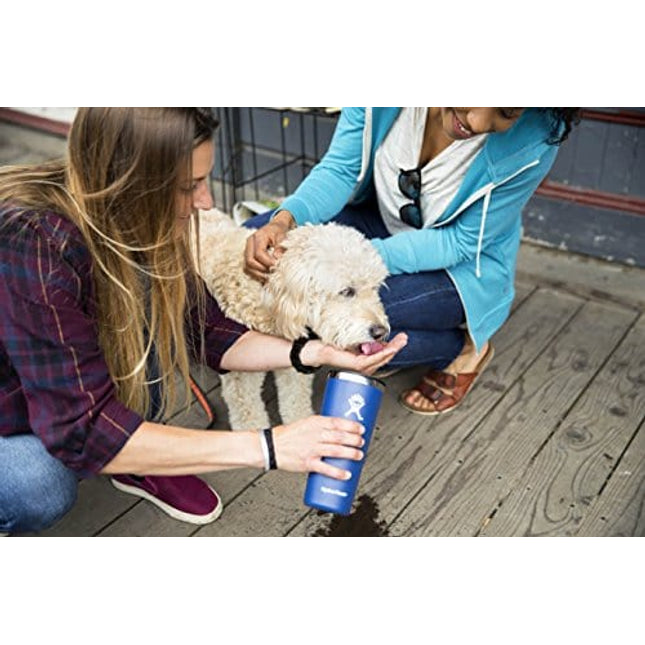 Hydro Flask Tumbler Cup - Stainless Steel & Vacuum Insulated - Press-In Lid - 22 oz, Graphite