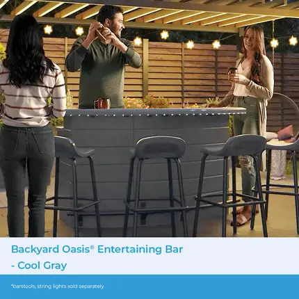 Suncast Backyard Oasis Entertaining Bar, Gray