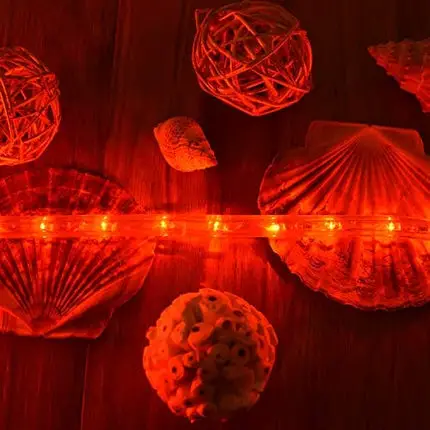 Amazon Basics 420 LED Indoor Outdoor Red Rope Light, 40-Foot