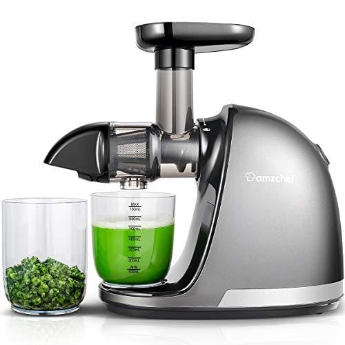 Slow Masticating Juicer, AMZCHEF Slow Juicer Extractor Professional Ma – Advanced Mixology