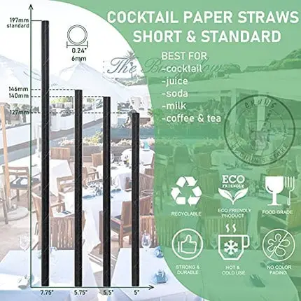 Paper Cocktail Straws 5 inch - 500 ct. Biodegradable Small Black Paper Drinking Straws Bulk, FSC certified, Food Grade Safety for Short Drinks, Restaurant, Bar, Food Services