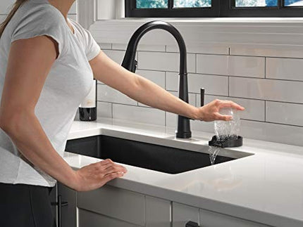 Delta Faucet Metal Glass Rinser for Kitchen Sinks, Kitchen Sink Accessories, Bar Glass Rinser, Matte Black GR250-BL