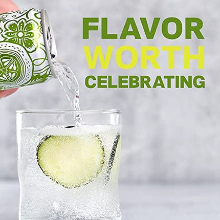 DRY Non-Alcoholic Botanical Bubbly | Cucumber | Sparkling and ready to sip or Use as a Mocktail Mixer |Less Sweet, All Natural Ingredients, Non-GMO | Sophisticatedly zero-proof, 12 Fl Oz (Pack of 12)