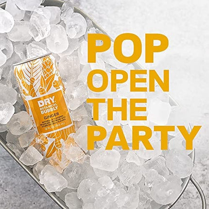 DRY Non-Alcoholic Botanical Bubbly |Ginger | Sparkling and ready to sip or Use as a Mocktail Mixer |Less Sweet, All Natural Ingredients, Non-GMO | Sophisticatedly zero-proof, 12 Fl Oz (Pack of 12)