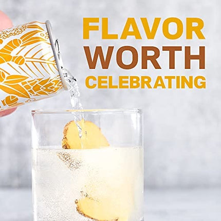 DRY Non-Alcoholic Botanical Bubbly |Ginger | Sparkling and ready to sip or Use as a Mocktail Mixer |Less Sweet, All Natural Ingredients, Non-GMO | Sophisticatedly zero-proof, 12 Fl Oz (Pack of 12)