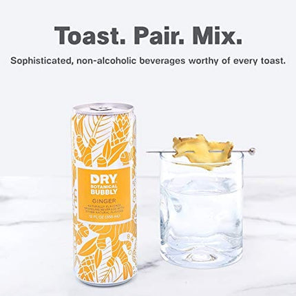 DRY Non-Alcoholic Botanical Bubbly |Ginger | Sparkling and ready to sip or Use as a Mocktail Mixer |Less Sweet, All Natural Ingredients, Non-GMO | Sophisticatedly zero-proof, 12 Fl Oz (Pack of 12)