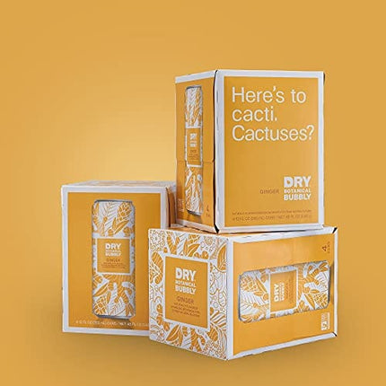 DRY Non-Alcoholic Botanical Bubbly |Ginger | Sparkling and ready to sip or Use as a Mocktail Mixer |Less Sweet, All Natural Ingredients, Non-GMO | Sophisticatedly zero-proof, 12 Fl Oz (Pack of 12)