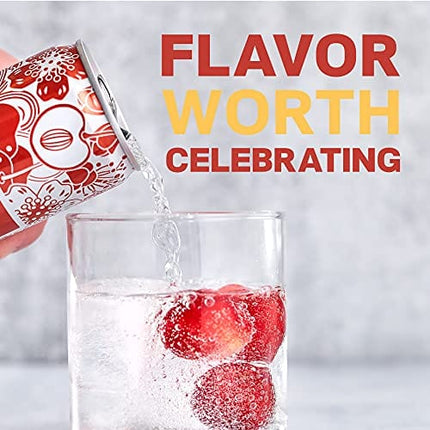 DRY Non-Alcoholic Cherry Botanical Bubbly I 4 Clean Ingredients I Delicious Way to Be Sober & Social I Zero Proof Mocktail Mixer I Craft Non-Alcoholic Multi-Use Beverage, 12 Fl Oz (Pack of 12)