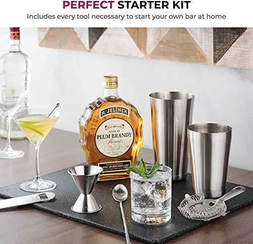 Cocktail Shaker Set Bar Set 10-Piece Jumbo Bartender Kit - Premium Cocktail  Set Mixology Kit for Bar and Home - All-in-One Cocktail Shaker Set 