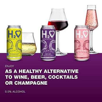 H2o (Best Vintage) The Best Non Alcoholic Red Wine - Infused California Sparkling Refreshment, 0.0% Alcohol, (Pinot Noir, Pack of 4 - 16 Fl oz)