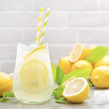 Jordans Skinny Syrups Sugar Free Lemon Elderflower Syrup | Gluten Free | Keto | Kosher | Made in the USA …